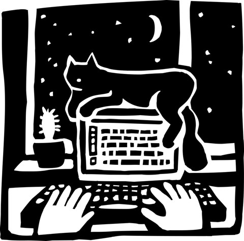 Computer Cat Night low res