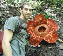 Rafflesia Flower Bukittinggi West Sumatra-S